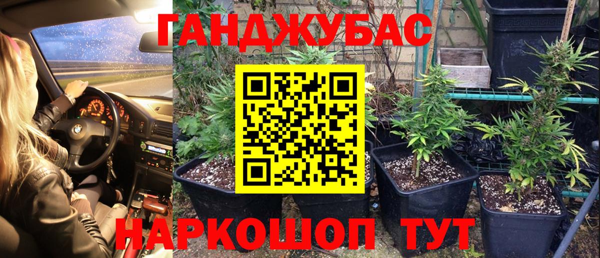 Канабис планчик  Шишки марихуана AK-47  Марихуана сатива  Алатырь  Вход с VPN 